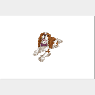 Cavalier King Charles Spaniel - Smiling Blenheim Posters and Art